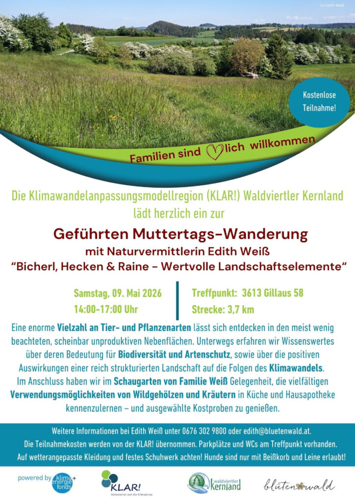 Die Klimawandelanpssungsmodellregion (KLAR!) Waldviertler Kernland lädt zur "Geführten Muttertags-Wanderung" mit Naturvermittlerin Edith Weiß "Bicherl, Hecken & Raine - Wertvolle Landschaftselemente" am Samstag, 9. Mai 2026 von 14 - 17 Uhr ein. Treffpunkt: 3613 Gillaus 58. Strecke: 3,7 km