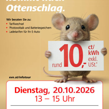 EVN Infotour