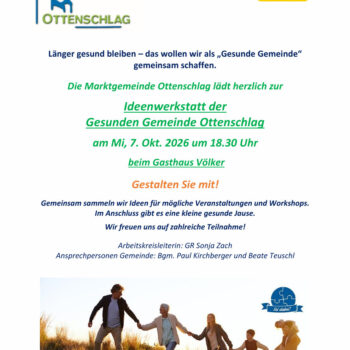 Ideenwerkstatt der Gesunden Gemeinde